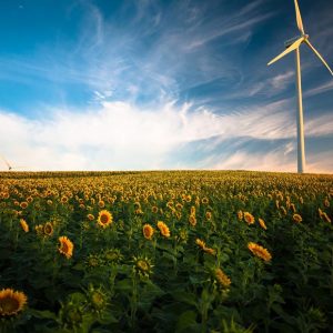 Die Zukunft der Energieversorgung? Erneuerbare-Energie-Gemeinschaften in Österreich